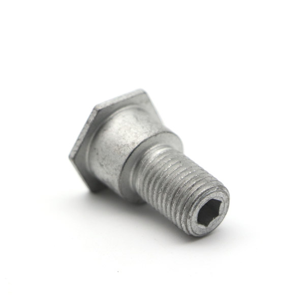 GWLS0070 Non-standard Socket Hex Head Bolt