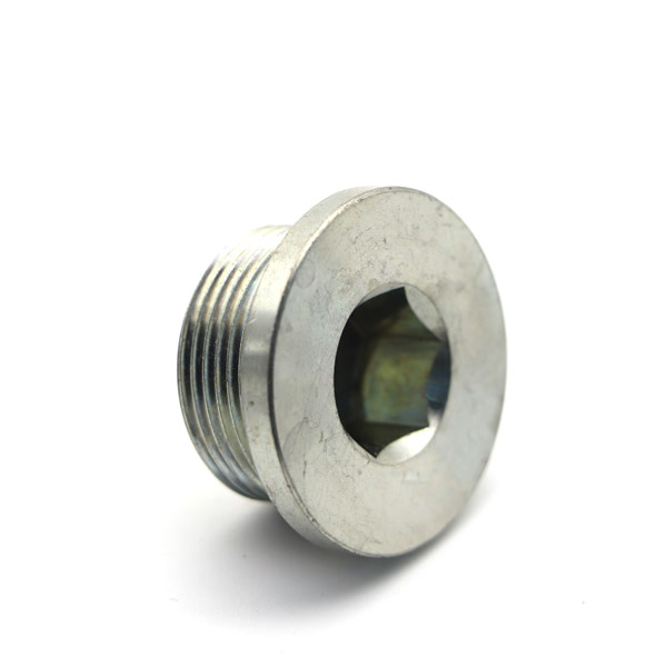 GWFB0013 Hex Socket Plug